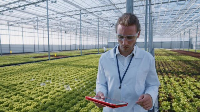 Young caucasian farm worker using tablet computer collecting data information about ecological hydroponic vegetable plantations on greenhouse.