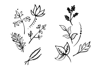 black and white, stylized collection of leaves and twigs
