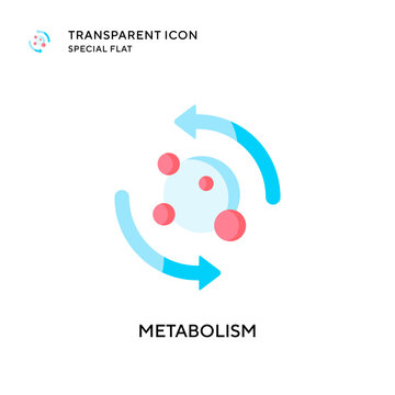 Metabolism Vector Icon. Flat Style Illustration. EPS 10 Vector.