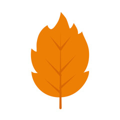 dry leaf icon, flat style