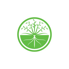 Growth seed logo design vector