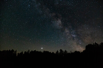 Fototapeta na wymiar milky way galaxy on the sky at night over a forest
