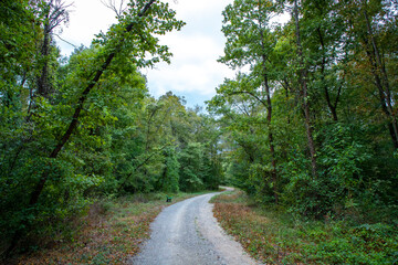Fototapeta na wymiar Pathway walking path in the forest in autumn