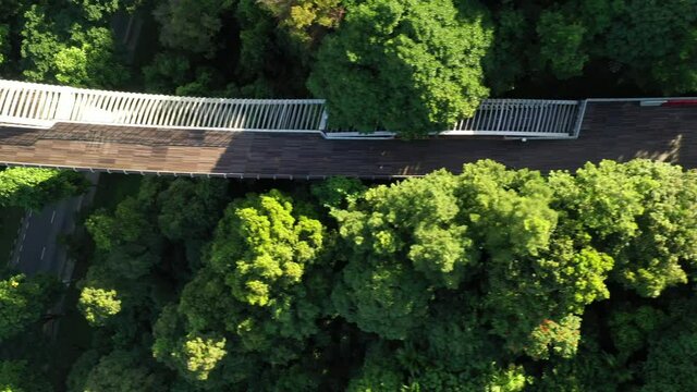 Singapore July 2020 Early morning at Henderson Waves bridge 4k aerial video 