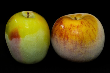 photo of thawing frozen apples close-up on a black background