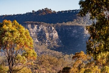 Carnarvon Gorge