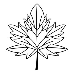 maple leaf foliage nature isolated icon over white background line style
