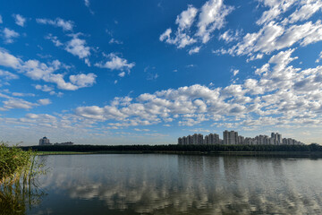 The skyline of urban park under the background of blue sky and white clouds