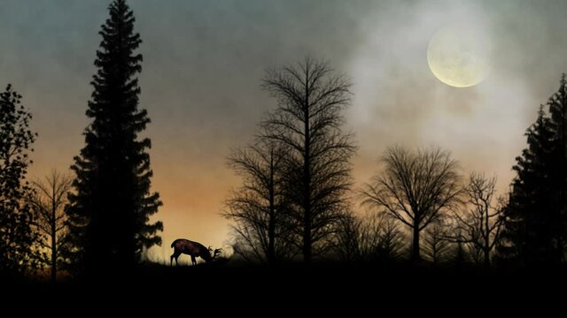 Deer in the Forest with Birds Silhouette 4K Loop features a forest silhouette with a deer eating and a full moon and moving clouds in the sky in a loop