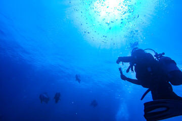 沖縄　ダイビング　okinawa diving