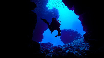 沖縄　ダイビング　okinawa diving