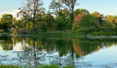 Fototapeta na wymiar city park pond late summer early autumn fall colors bridges tree reflections golden hour