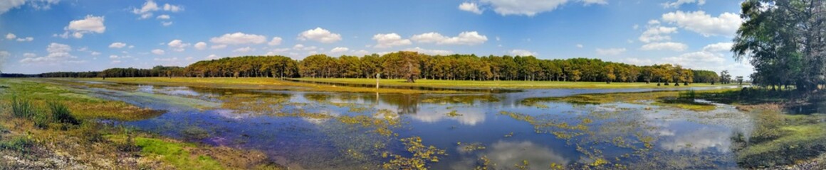 Panorama of Star Ranch Boat Launch on Caddo Lake. 