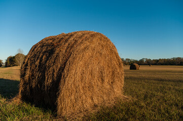 Round Hay Bale in a Field at Sunset with more Bales in the Background