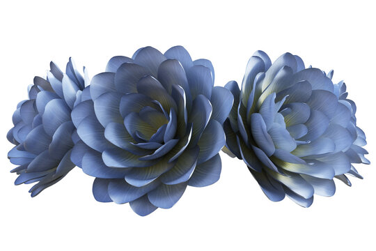 Flower Head Piece Isolated On White, 3d Render.