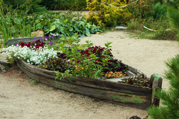 Beautifully designed flowerbed in the form of a boat of flowers of different colors.