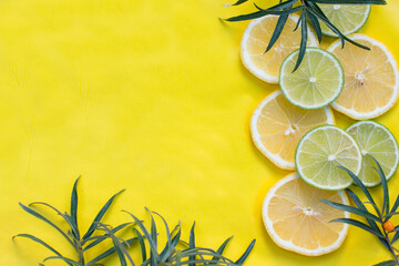 lemon slices on a yellow background with a sprig of green sea buckthorn. Berry and citrus