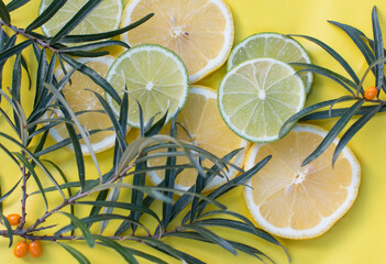 lemon slices on a yellow background with a sprig of green sea buckthorn. Berry and citrus