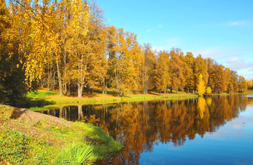 autumn landscape with lake