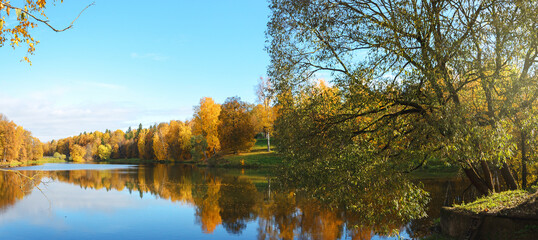 autumn trees reflected in water