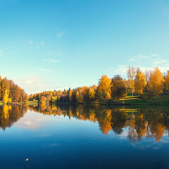 Obraz premium autumn trees reflected in water