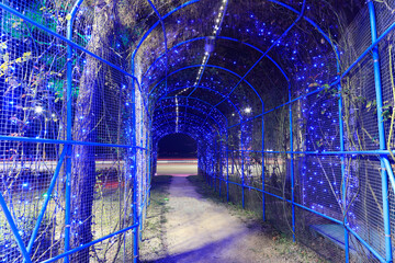 화려한 조명이 보이는 아름다운 풍경