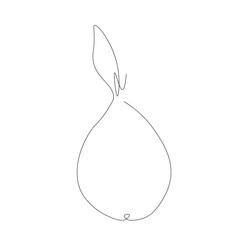 Pear fruit silhouette. One line drawing. Vector illustration