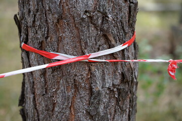 Vorbidden to climb on the tree