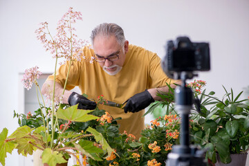 Old male gardener with plants indoors