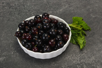 Fresh ripe sweet black currant