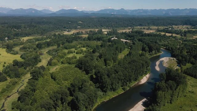 Aerial Nature Landscape of Green Forest River in Rural Countryside