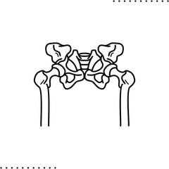 hip bones vector icon in outline