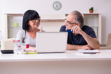 Old couple doing the online shopping