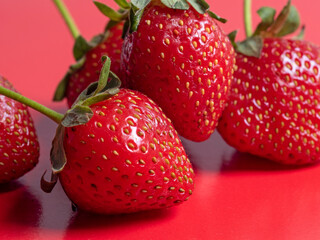 bright juicy ripe strawberries on a red background. Front view, healthy food, vegetarianism