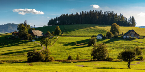 Farmhouse in the Black Forest