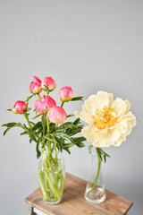 Bud and opening into a flower. Coral peonies in a glass vase on wooden table. Beautiful peony flower for catalog or online store. Floral shop concept . Beautiful fresh cut bouquet. Flowers delivery.
