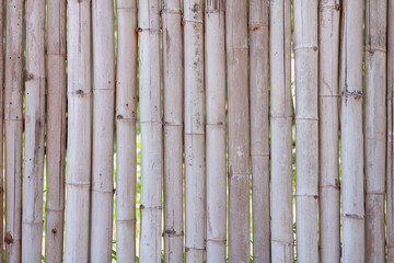 Old brown bamboo for make fence, hut or wall home in countryside.