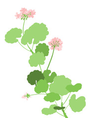 Geranium composition for interior, posters, textile ideas. Vector and colourful