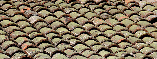 Old turkish style roof tiles with moss close up detail