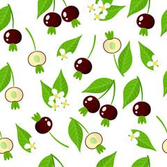 Vector cartoon seamless pattern with Grumichama cherry exotic fruits, flowers and leafs on white background