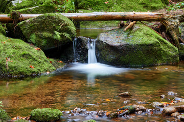Single cascade of the beautiful waterfall under a tree trunk. Small pond with pebbles. Moss forms on the stones. Germany.