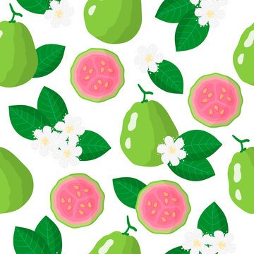 Vector cartoon seamless pattern with Psidium or Guava exotic fruits, flowers and leafs on white background