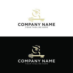 Stylized owl covered in Celtic patterns sits on an old ornate key