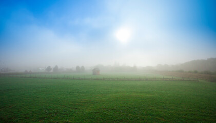 Fototapeta premium mystic autumn morning in the field