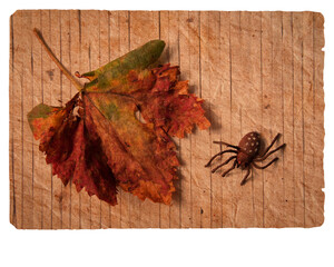 Postcard in retro style with pumpkin for Halloween