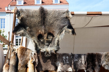 The skins of wild forest animals are sold at the city fair