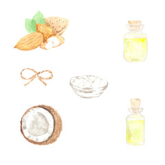 Watercolor illustration of coconut and almond oil. Organic cosmetics. Perfect for print design, planner, web design and other creative ideas.