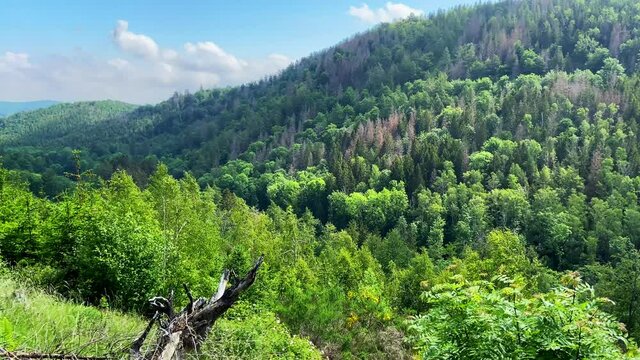 Landschaft im Harz mit Bergen und Wald an einem sonnigen Tag mit Wolken