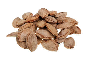 Dry plum seeds heap lie on table isolated
