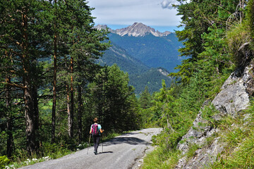 Fototapeta na wymiar Lechtal, Österreich, Tirol, Blick Lechabwärts